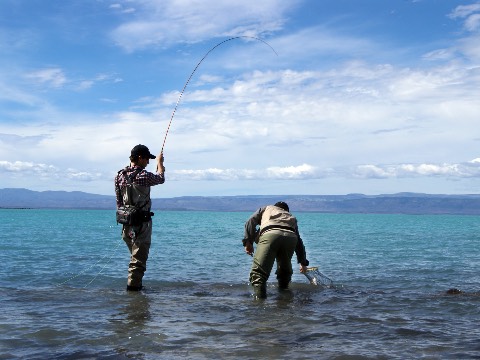 Lago Argentino